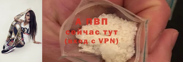 амф Заволжье