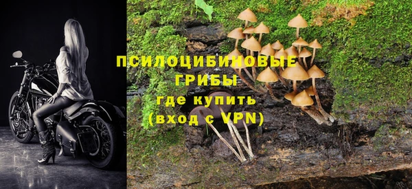 ГАЛЛЮЦИНОГЕННЫЕ ГРИБЫ Богородицк