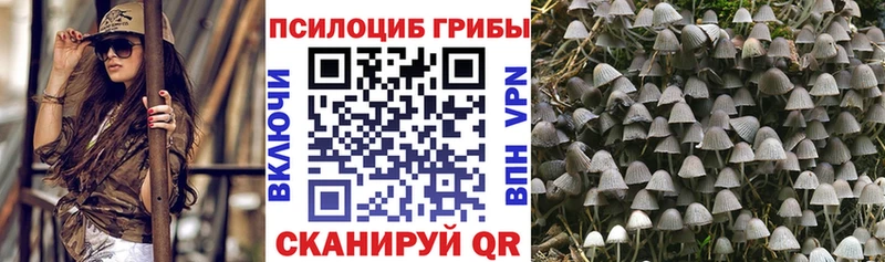 закладка  darknet Telegram  мега маркетплейс  Галлюциногенные грибы прущие грибы  Волгореченск 